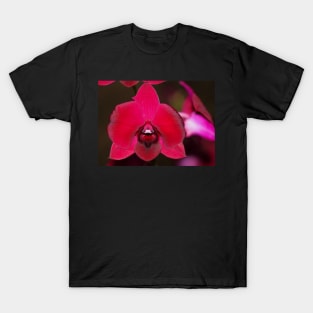 Red Orchid T-Shirt